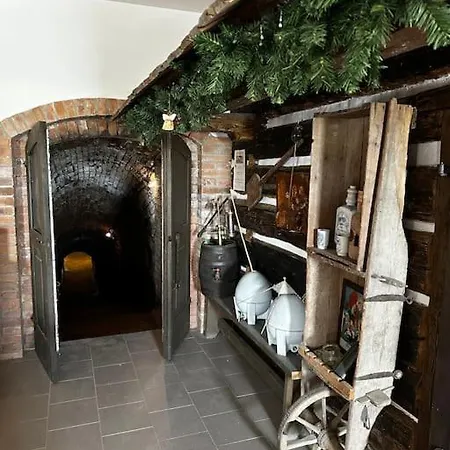 Vinohrad - Apartman Apartamento Olbramovice (Znojmo)