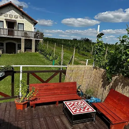 Apartamento Vinohrad - Apartman *